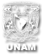 UNAM