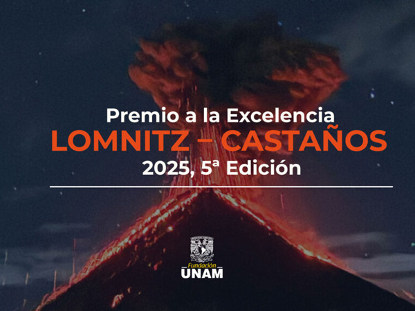 Premio a la Excelencia Lomnitz - Castaños 2025